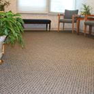 Commercial Carpet Cleaning